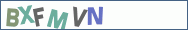 Type the letters shown in the picture