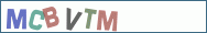 Type the letters shown in the picture
