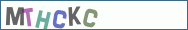 Type the letters shown in the picture