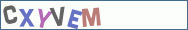 Type the letters shown in the picture