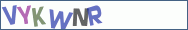 Type the letters shown in the picture