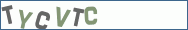 Type the letters shown in the picture