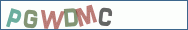 Type the letters shown in the picture