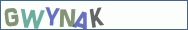 Type the letters shown in the picture