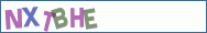 Type the letters shown in the picture