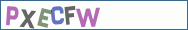 Type the letters shown in the picture