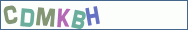 Type the letters shown in the picture