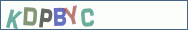 Type the letters shown in the picture