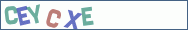 Type the letters shown in the picture