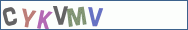 Type the letters shown in the picture
